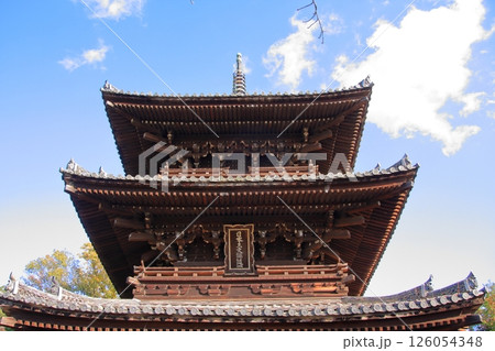 京都幕末とアフロ仏のくろ谷金戒光明寺の紅葉 126054348
