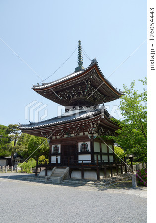 本法寺 多宝塔 京都市上京区 本法寺 多宝塔 京都市上京区 126054443