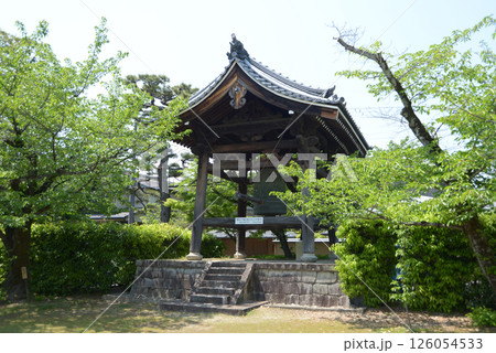 妙顕寺　鐘楼　京都市上京区 126054533