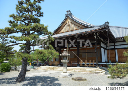 妙蓮寺　本堂　京都市上京区 126054575