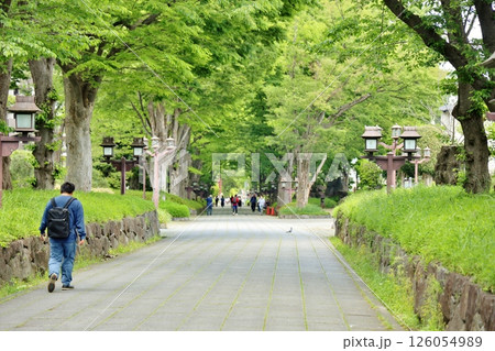 大宮氷川神社参道 126054989