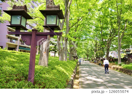 大宮氷川神社参道 126055074