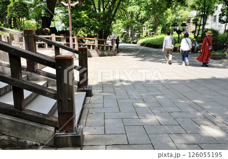 大宮氷川神社参道 大宮氷川神社参道 126055195