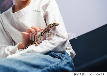 Child interacts with a leopard gecko indoors while dressed casually in a cozy setting 126055211