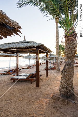Peaceful beach setting with thatched umbrellas and lounge chairs at sunset 126055298