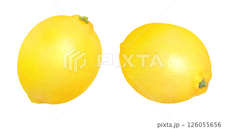 新鮮なレモンの手描きイラストセット_水彩_柑橘の果物 126055656