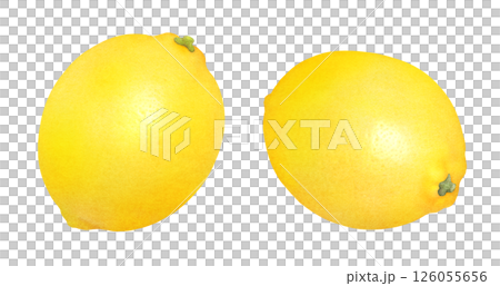 新鮮なレモンの手描きイラストセット_水彩_柑橘の果物 126055656