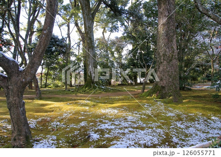 京都 早朝雪化粧の金閣寺 京都 早朝雪化粧の金閣寺 126055771
