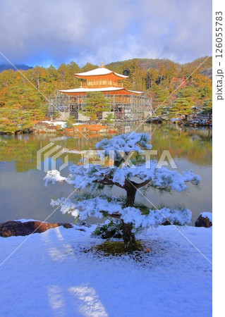 京都 早朝雪化粧の金閣寺 京都 早朝雪化粧の金閣寺 126055783