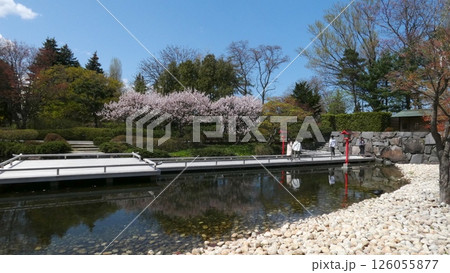 百合が原公園 日本庭園の絶景 百合が原公園 日本庭園の絶景 126055877