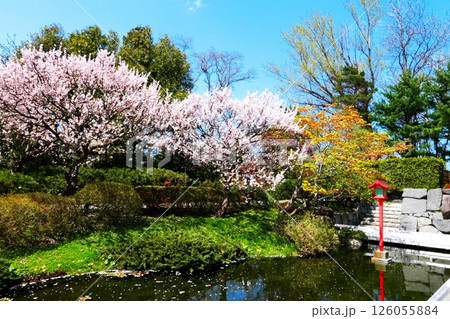 百合が原公園　日本庭園の絶景 126055884