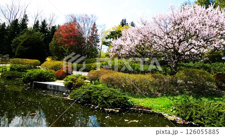 百合が原公園　日本庭園の絶景 126055885