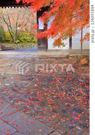 京都の観光道路きぬかけの道と龍安寺の紅葉 京都の観光道路きぬかけの道と龍安寺の紅葉 126055894