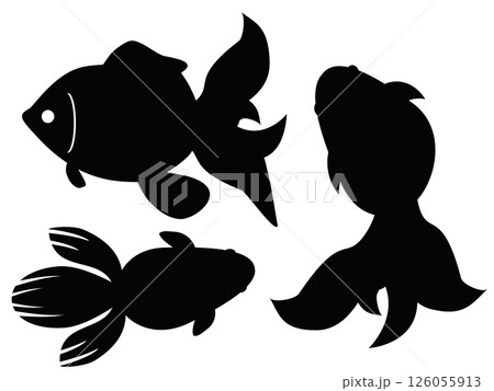 金魚 126055913