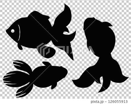 金魚 126055913