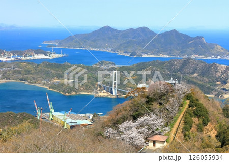 【愛媛県】桜咲く積善山から見た ゆめしま海道（岩城橋） 126055934