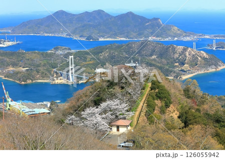 【愛媛県】桜咲く積善山から見た ゆめしま海道(岩城橋と生名橋) 【愛媛県】桜咲く積善山から見た ゆめしま海道(岩城橋と生名橋) 126055942