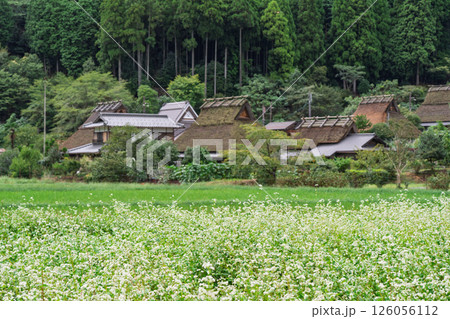 京都府南丹市美山町茅葺きの里で撮影した秋の風景 京都府南丹市美山町茅葺きの里で撮影した秋の風景 126056112