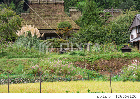 京都府南丹市美山町茅葺きの里で撮影した秋の風景 京都府南丹市美山町茅葺きの里で撮影した秋の風景 126056120