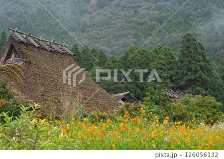 京都府南丹市美山町茅葺きの里で撮影した秋の風景 京都府南丹市美山町茅葺きの里で撮影した秋の風景 126056132
