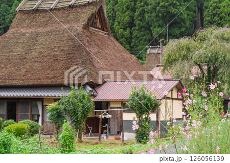 京都府南丹市美山町茅葺きの里で撮影した秋の風景 126056139