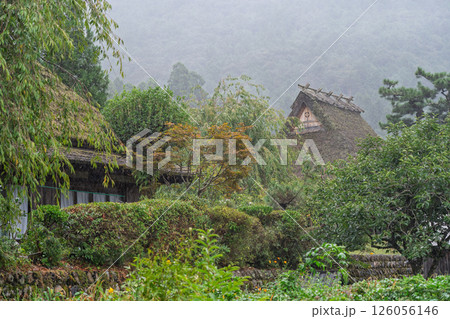 京都府南丹市美山町茅葺きの里で撮影した秋の風景 126056146