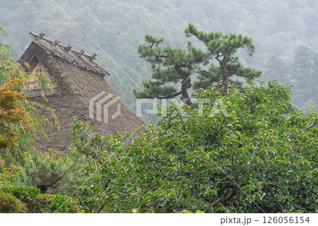 京都府南丹市美山町茅葺きの里で撮影した秋の風景 126056154