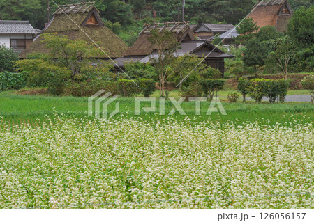 京都府南丹市美山町茅葺きの里で撮影した秋の風景 京都府南丹市美山町茅葺きの里で撮影した秋の風景 126056157