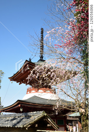 慈尊院(多宝塔) 【和歌山県九度山町】 慈尊院(多宝塔) 【和歌山県九度山町】 126056866