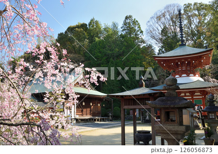 慈尊院(多宝塔) 【和歌山県九度山町】 慈尊院(多宝塔) 【和歌山県九度山町】 126056873
