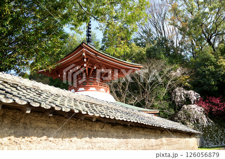 慈尊院(多宝塔)　【和歌山県九度山町】 126056879
