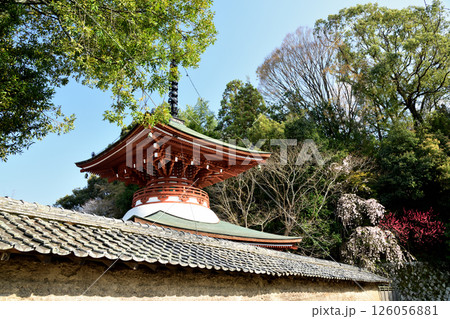 慈尊院(多宝塔) 【和歌山県九度山町】 慈尊院(多宝塔) 【和歌山県九度山町】 126056881
