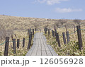 どこまでも続く木道 126056928