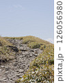 登山道 126056980
