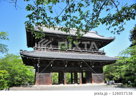 根来寺(大門)　【和歌山県岩出市】 126057136