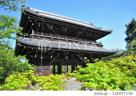 根来寺(大門)　【和歌山県岩出市】 126057138