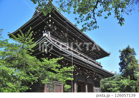 根来寺(大門) 【和歌山県岩出市】 根来寺(大門) 【和歌山県岩出市】 126057139