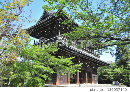 根来寺(大門)　【和歌山県岩出市】 126057140
