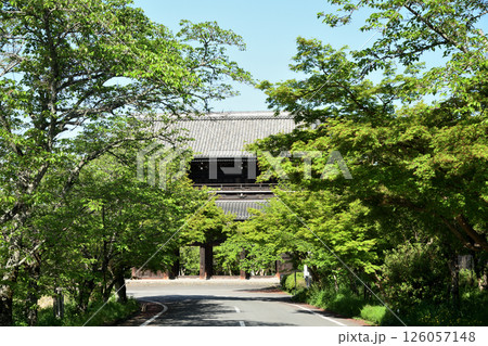 根来寺(大門)　【和歌山県岩出市】 126057148