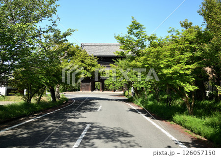 根来寺(大門)　【和歌山県岩出市】 126057150