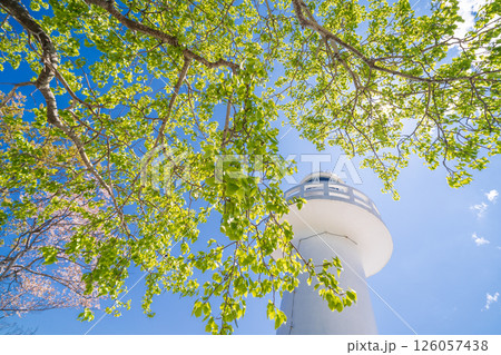 「岩手県」青空と新緑に映える白亜の黒崎灯台　岩手県 126057438