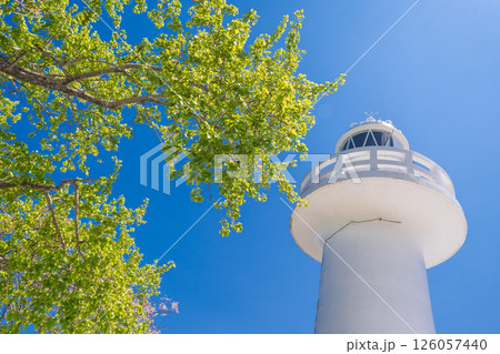 「岩手県」青空と新緑に映える白亜の黒崎灯台　岩手県 126057440