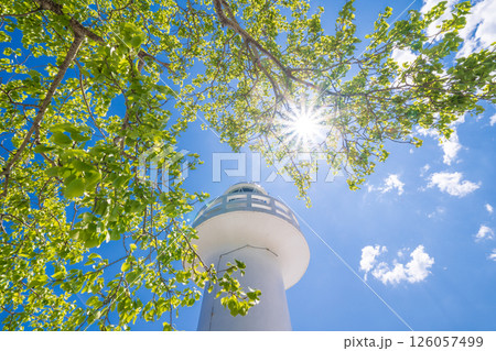 「岩手県」新緑と青空に映える白亜の黒崎灯台　岩手県 126057499