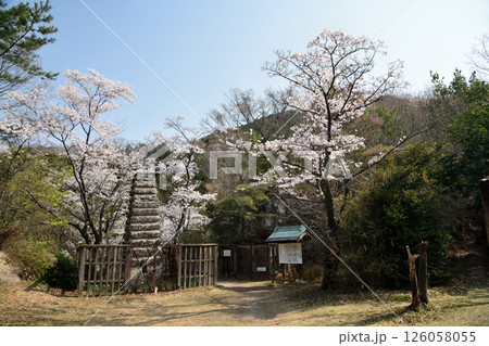 ニ上山鹿谷寺跡 【大阪府太子町】 ニ上山鹿谷寺跡 【大阪府太子町】 126058055