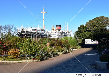 横浜市　山下公園散策路と氷川丸 126058367