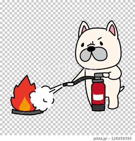 French bulldog practicing putting out a fire with a fire extinguisher 126058393