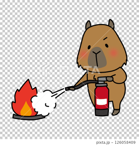Capybara practicing extinguishing a fire with a fire extinguisher 126058409