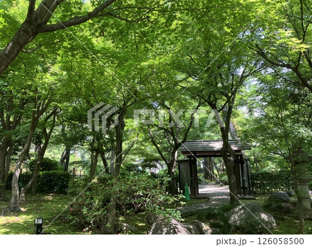 旧朝倉家住宅 恵比寿・代官山 旧朝倉家住宅 恵比寿・代官山 126058500