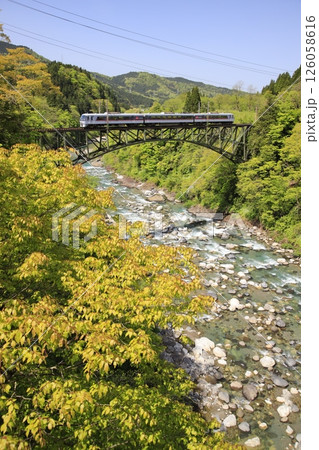 新緑の中を走る 126058616