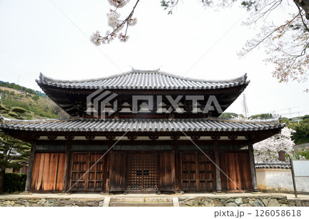 善福院釈迦堂 【和歌山県海南市】 善福院釈迦堂 【和歌山県海南市】 126058618